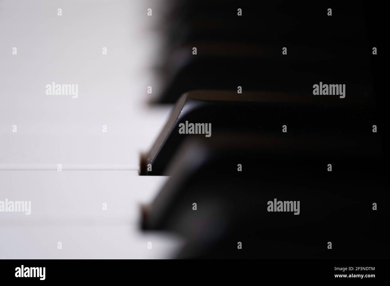 Vista laterale dei tasti piano in bianco e nero. I tasti neri sono chiamati taglienti o piatti. Mettere a fuoco il tasto nero al centro dell'immagine, profondità bassa di f Foto Stock