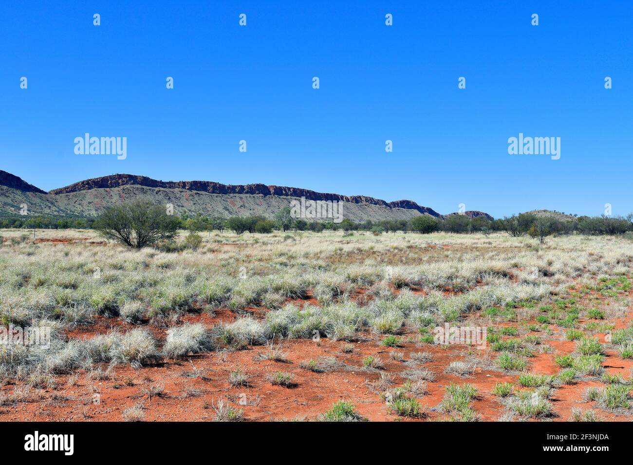 Australia, NT, paesaggio con erba spinifex nella gamma West McDonnell Foto Stock