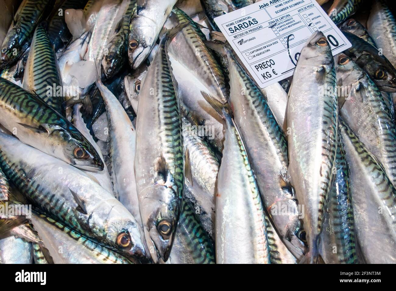 Pesce sgombro Atlantico sul mercato a Tavira, Algarve Portogallo Foto Stock