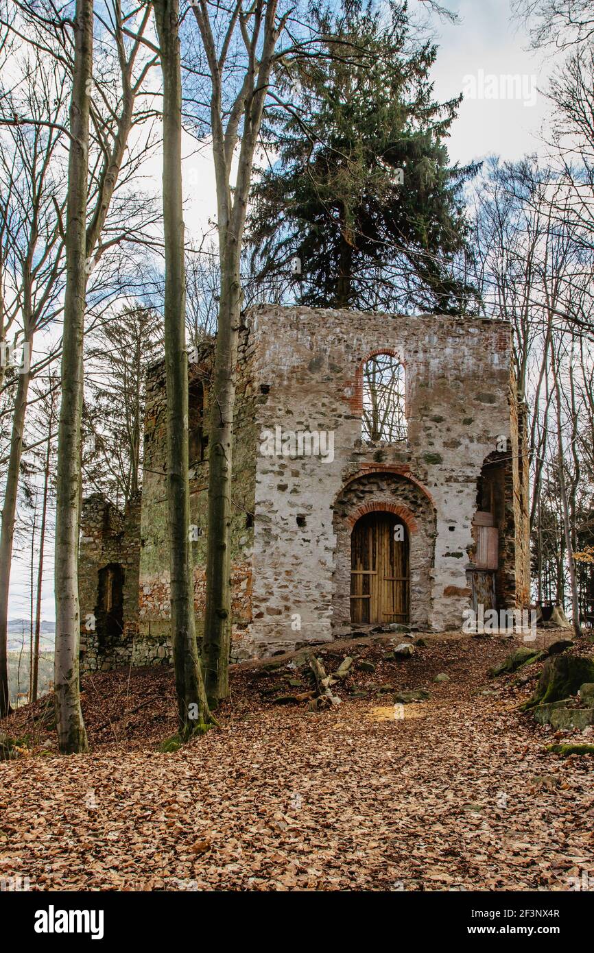 Rovine di Cappella di Santa Maria Maddalena sulla collina di Maly Blanik, Boemia centrale, Repubblica Ceca.luogo pellegrinaggio con grande abete rosso crescente Foto Stock