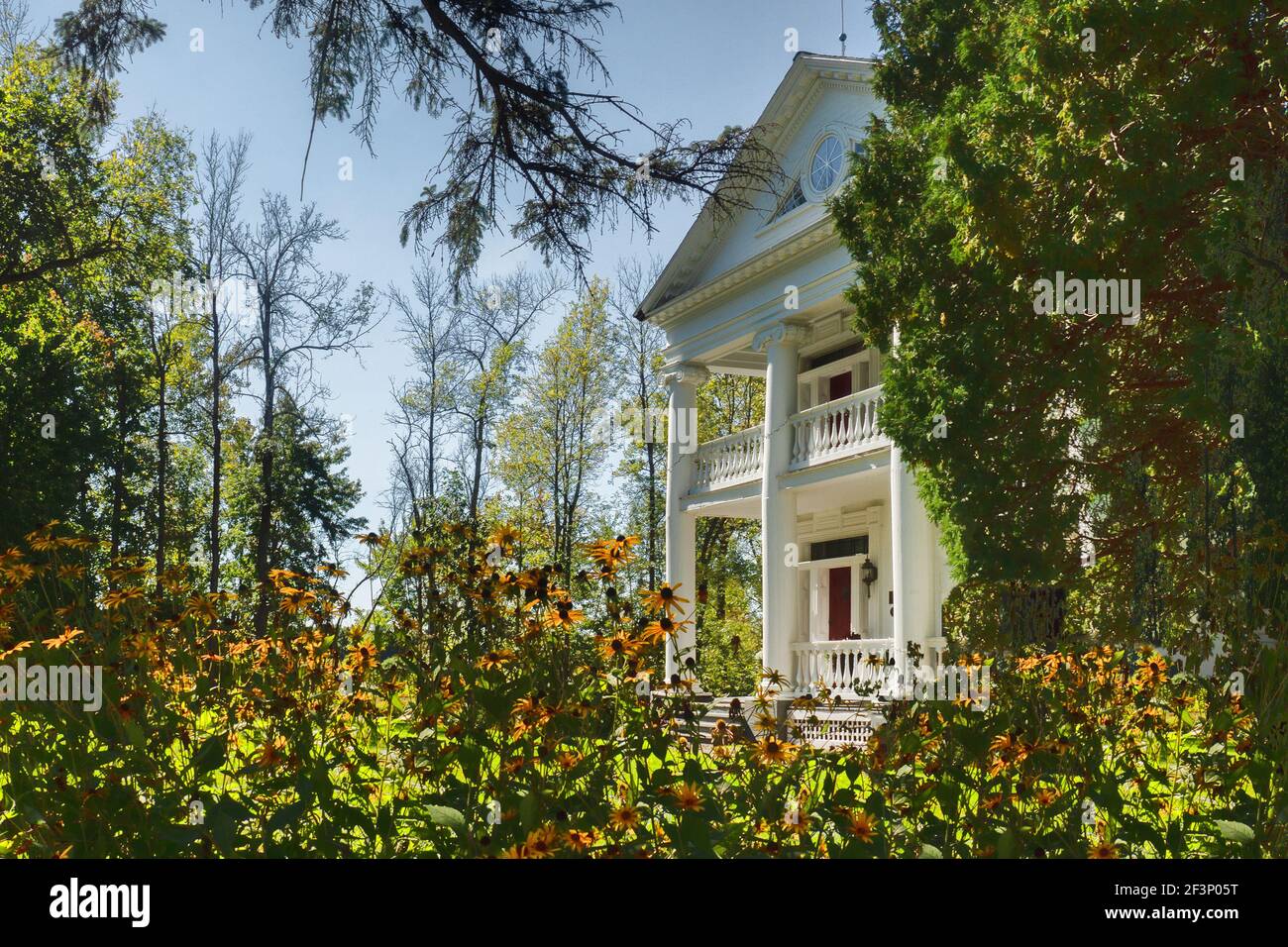 Margherite e arbusti sui terreni di una bella vecchia casa padronale Foto Stock