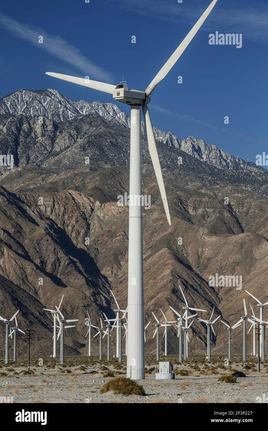 Mulini a vento e Monti San Jacinto (Mount San Jacinto, 10,831 piedi), San Gorgonio Pass Wind Farm, vicino a Palm Springs, California USA Foto Stock