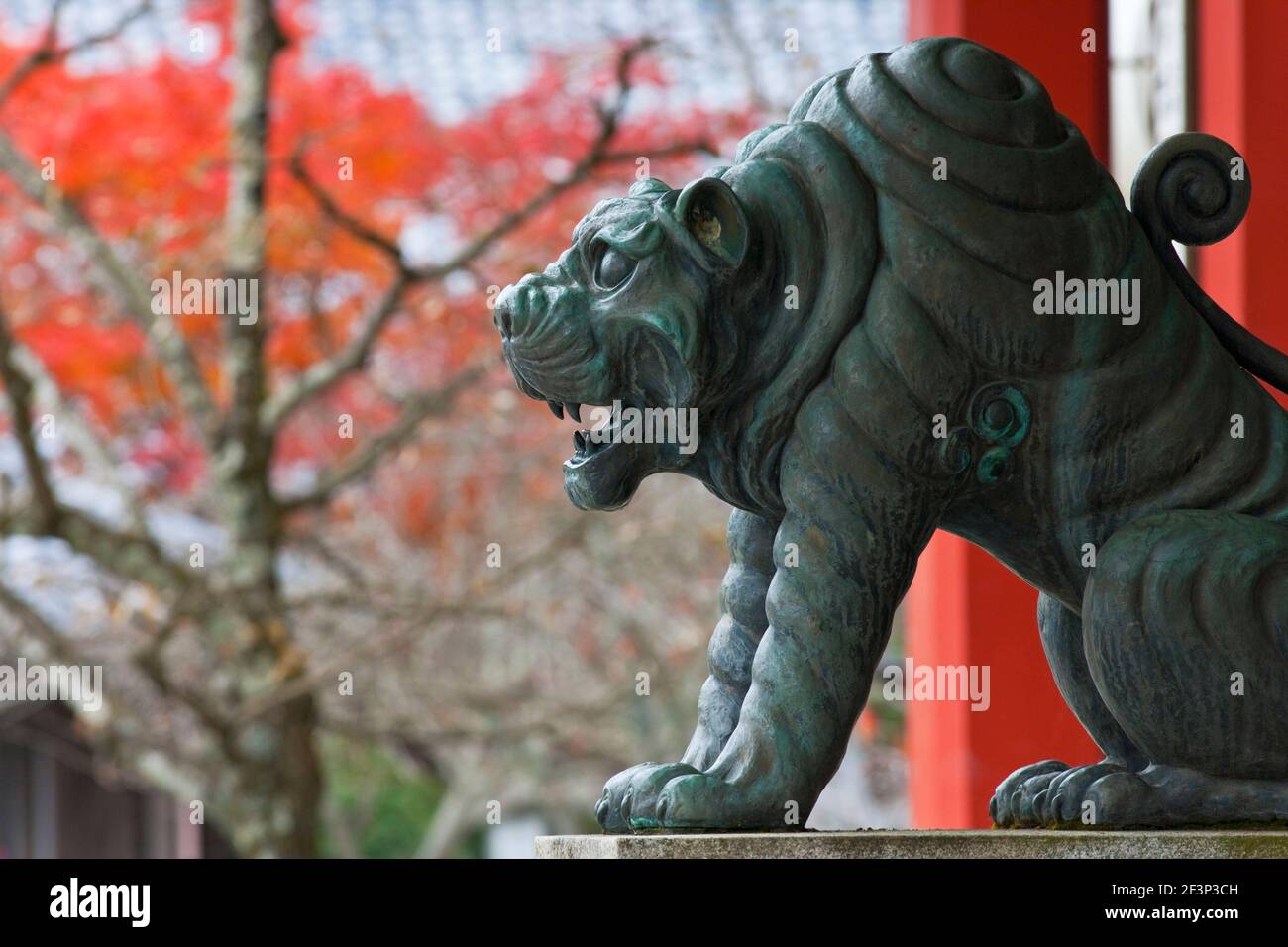 Un autunno vista mostra un bronzo guardian lion statua a Hondo sala principale di Kurama-dera Tempio Kurama settentrionale del distretto di Kyoto, Giappone. Foto Stock