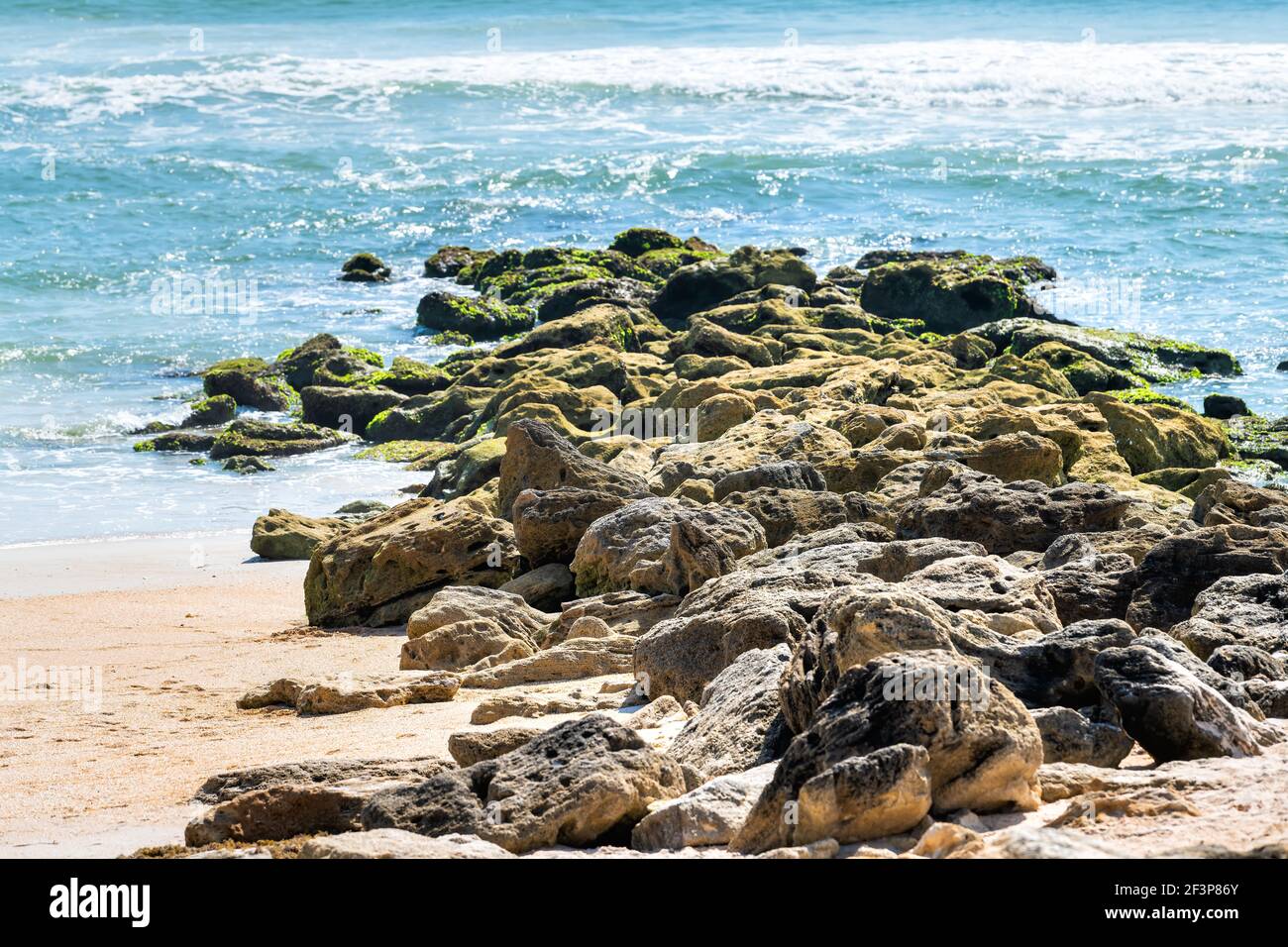River to Sea Preserve Marineland a Palm Coast, Florida, con formazioni rocciose sulla spiaggia e verdi onde turchesi dell'oceano Atlantico entro il mese di agosto Foto Stock