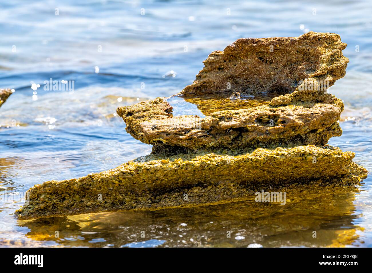 Dal fiume Marineland al Sea Preserve con formazione di roccia calcarea shelly Nella spiaggia della Florida settentrionale di St Augustine sull'oceano Atlantico acqua nel giorno di sole Foto Stock