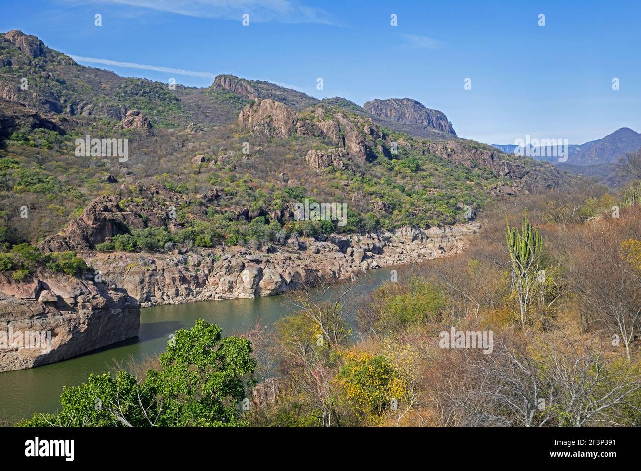 Fiume che attraversa il Copper Canyon / Barrancas del Cobre Nella Sierra Madre Occidental a Chihuahua nel Messico nord-occidentale Foto Stock