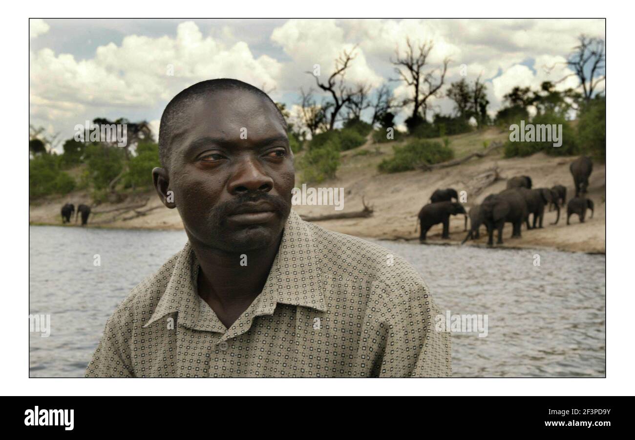 Appello indipendente di Natale...... Sviluppo rurale integrato e conservazione della natura (IRDNC) in Namibia.Bevan Munali, coordinatore di campo dell'IRDNC per la gestione dei Recordes naturali nella striscia di Caprivi, Namibia sul fiume che confina con il Botwana e la Namibia, gli elefanti dei parchi di caccia del Botswana viaggiano attraverso i terreni agricoli locali in Namibia e causano danni alla vita e alle colture, Il personale dell'IRDNC Conservancy lavora con le comunità locali per gestire la fauna selvatica. Fotografia di David Sandison novembre 2004 Foto Stock