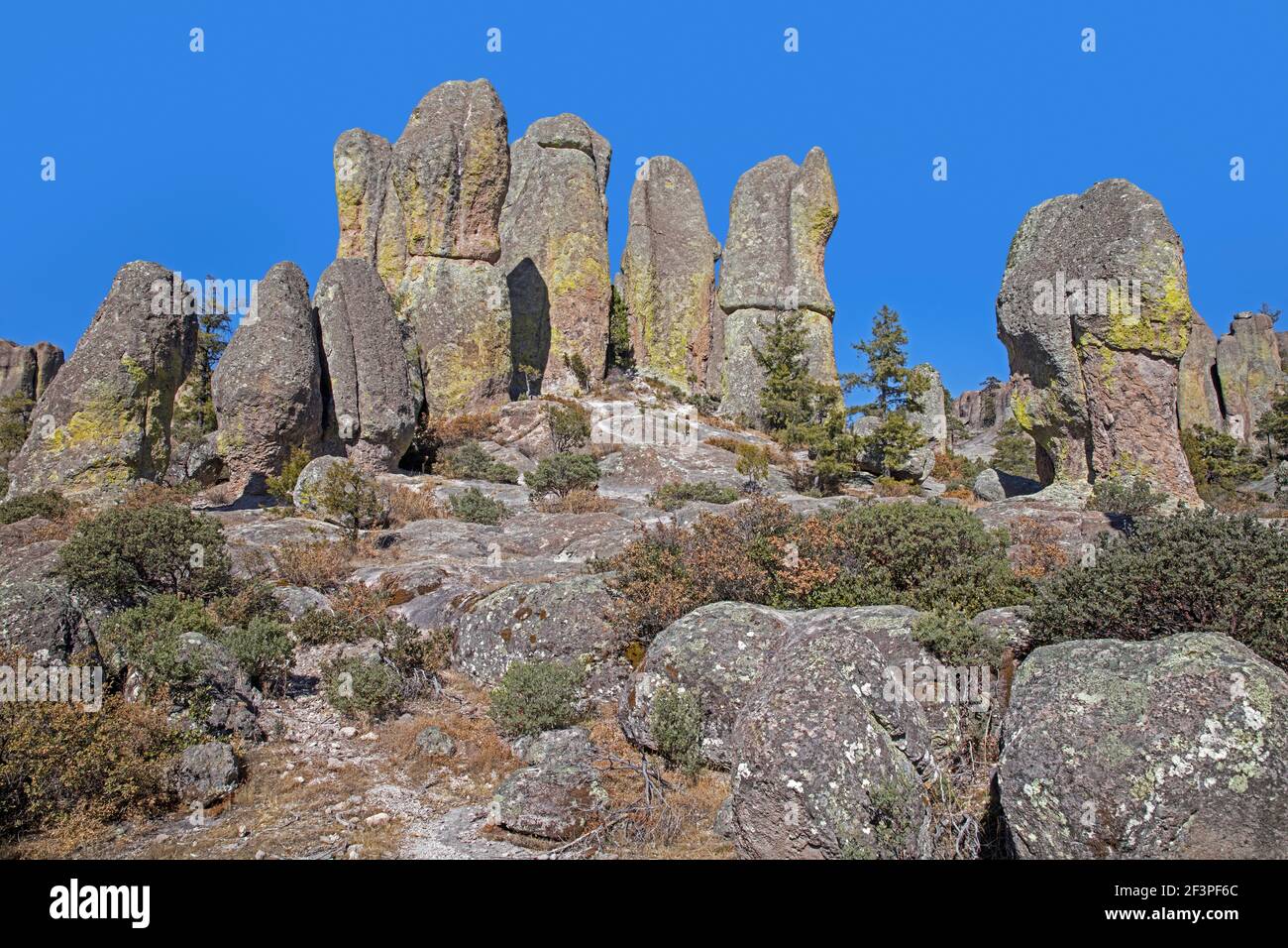 Formazioni rocciose allungate nella Valle dei Monaci / Valle de los Monjes / Bisabirachi vicino a Creel in alta Sierra Tarahumara, Chihuahua, Messico Foto Stock