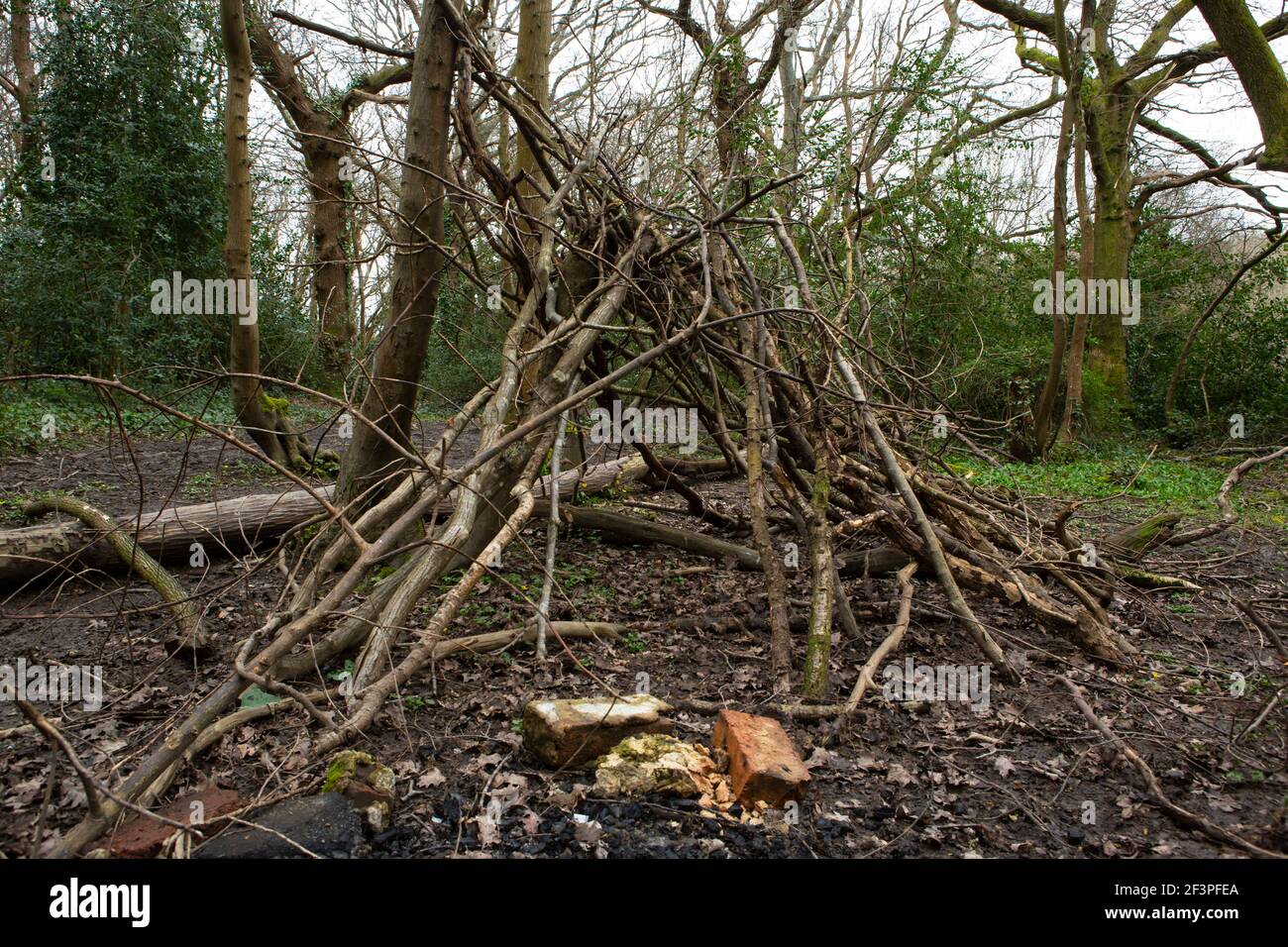 Den fatto in casa nei boschi Foto Stock