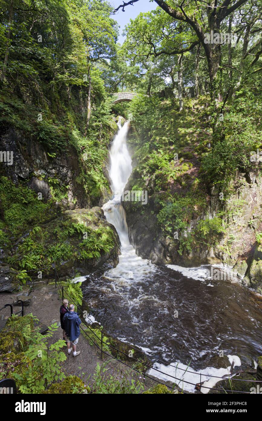 L'Aira Force cascata nel Lake District inglese a Ullswater, Cumbria Regno Unito Foto Stock
