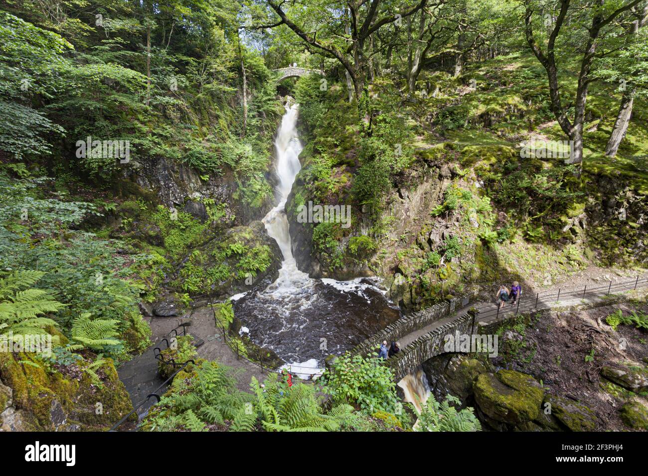 L'Aira Force cascata nel Lake District inglese a Ullswater, Cumbria Regno Unito Foto Stock