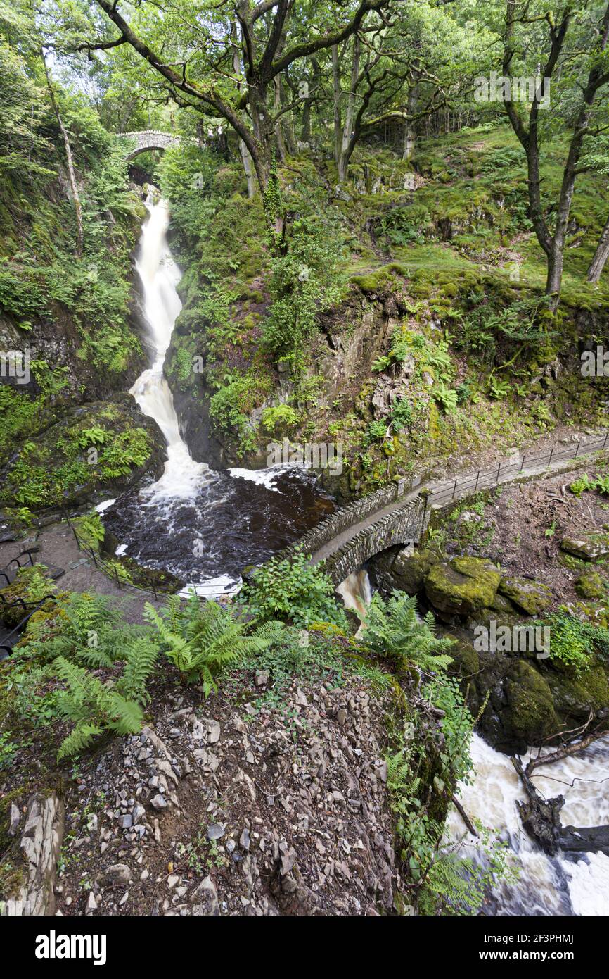L'Aira Force cascata nel Lake District inglese a Ullswater, Cumbria Regno Unito Foto Stock