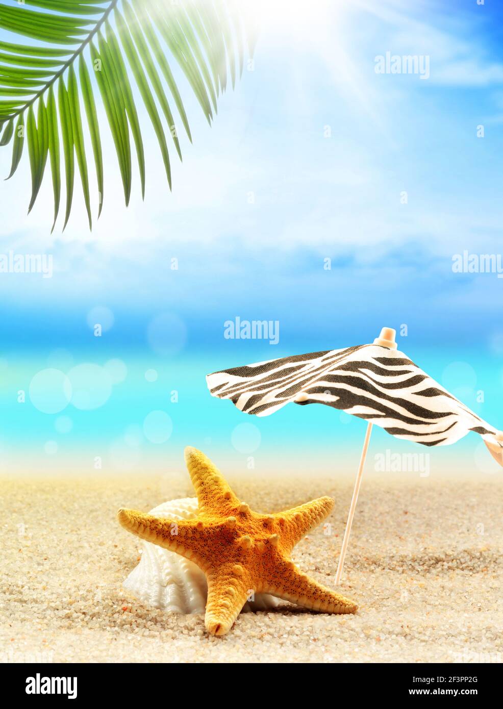 conchiglie, palma sulla spiaggia sabbiosa sullo sfondo dell'oceano e ombrello. concetto estivo. Foto Stock