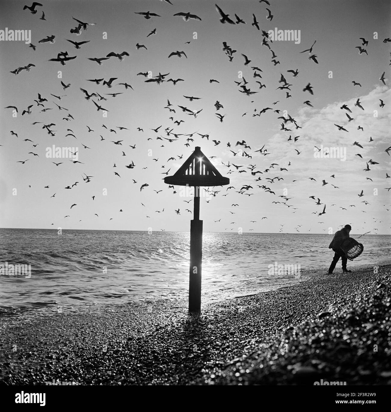 ALDEBURGH BEACH, Aldeburgh, Suffolk. Il pescatore fa ribaltare un cesto di vimini al bordo del mare con gabbiani che girano in alto e un segno di mare in primo piano Foto Stock