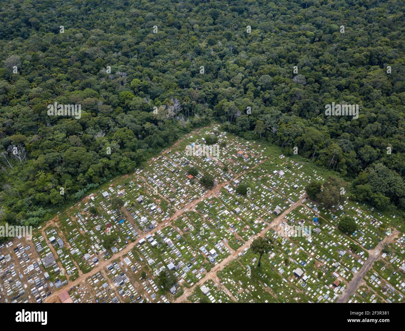 Veduta aerea delle tombe nel cimitero di Santo Antônio nella foresta amazzonica e gli alberi, Porto Velho, Brasile. Sepolture per covid-19, vittime del coronavirus. Foto Stock
