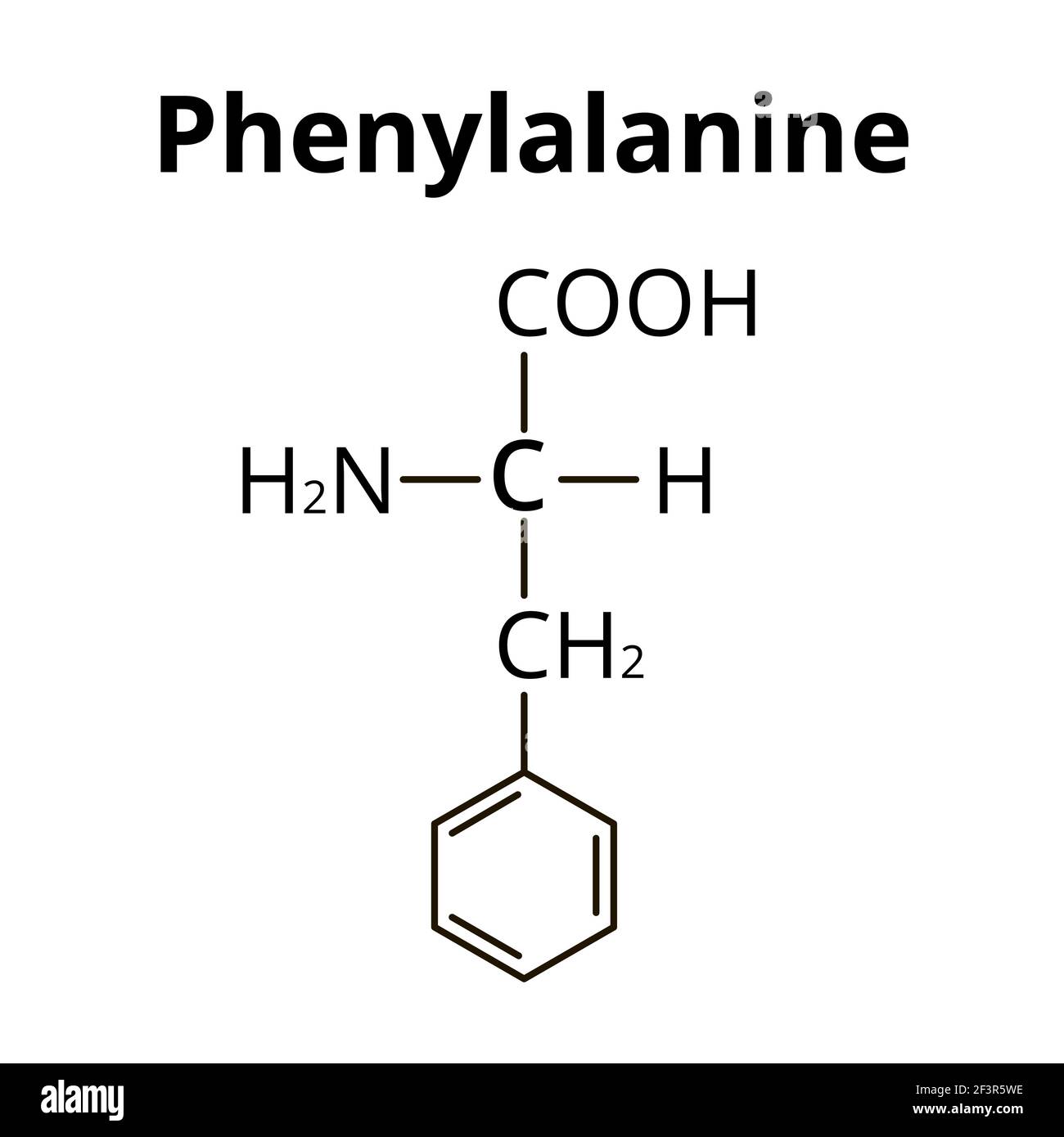 La fenilalanina è un amminoacido. Formula chimica molecolare fenilalanina aminoacido. Illustrazione vettoriale su sfondo isolato Illustrazione Vettoriale