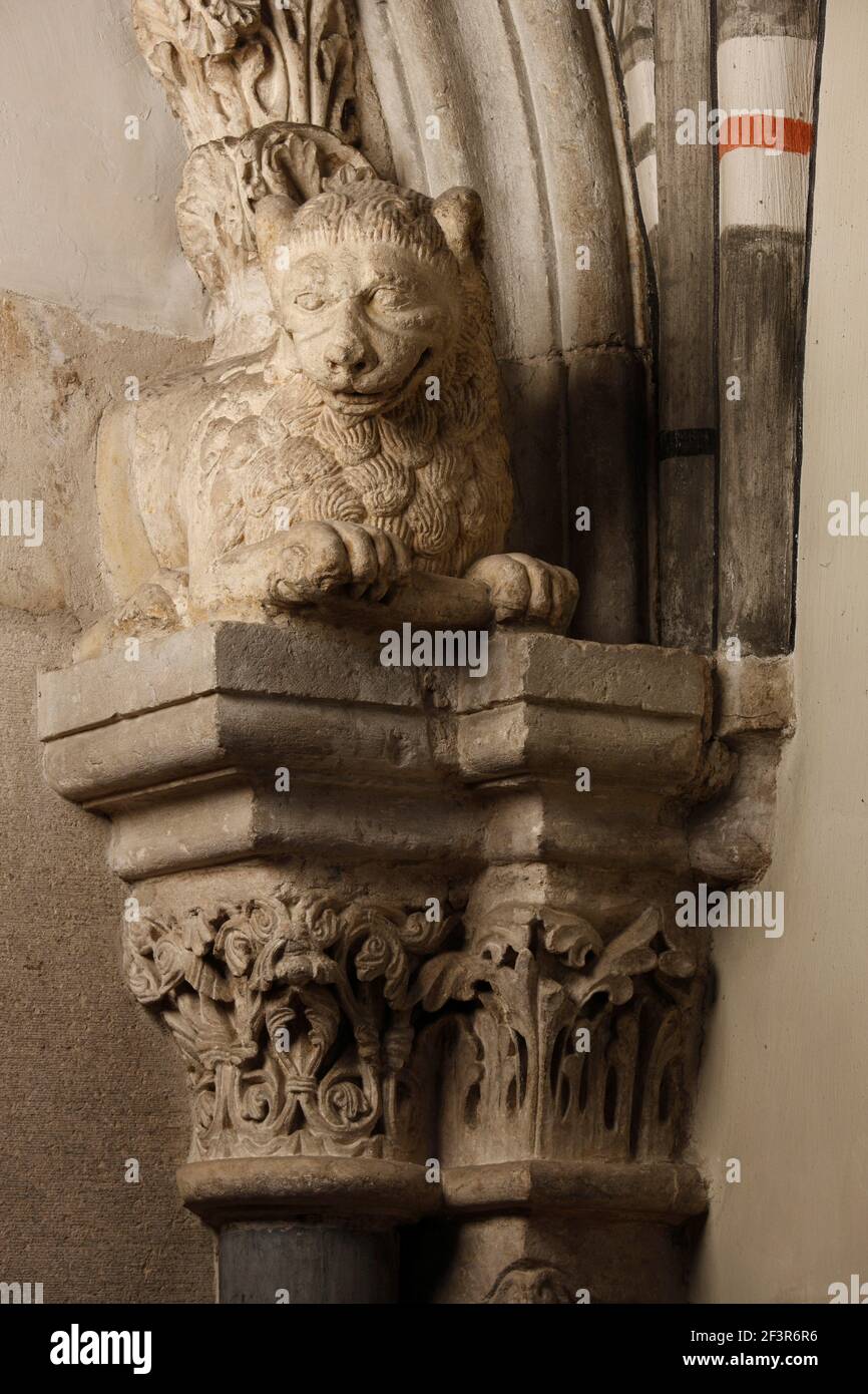 Primo piano dettaglio della statua del leone sopra la porta in cima alla  colonna nella sagrestia della chiesa di Sant'Andrea, una chiesa romanica di  Colonia, Germania Foto stock - Alamy