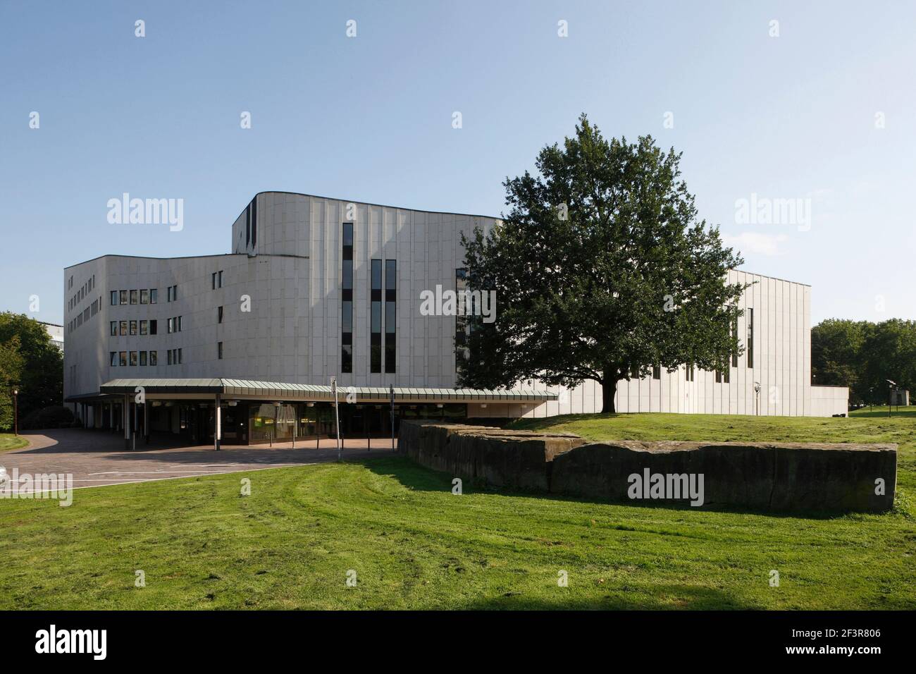 Grande albero in giardino paesaggistico di fronte al Teatro Aalto (Opera House) progettato da Alvar Aalto nel 1959 situato a Essen, Germania Foto Stock