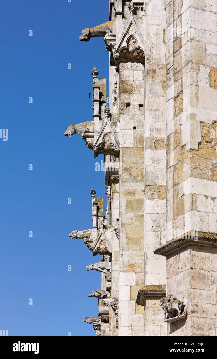 Wasserspeier an der S¸dseite, Regensburg, Dom San Pietro Foto Stock