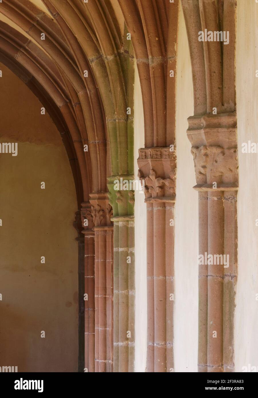 Kreuzgang, Detail Nordfl¸gel, Kylburg, Stiftskirche Foto Stock