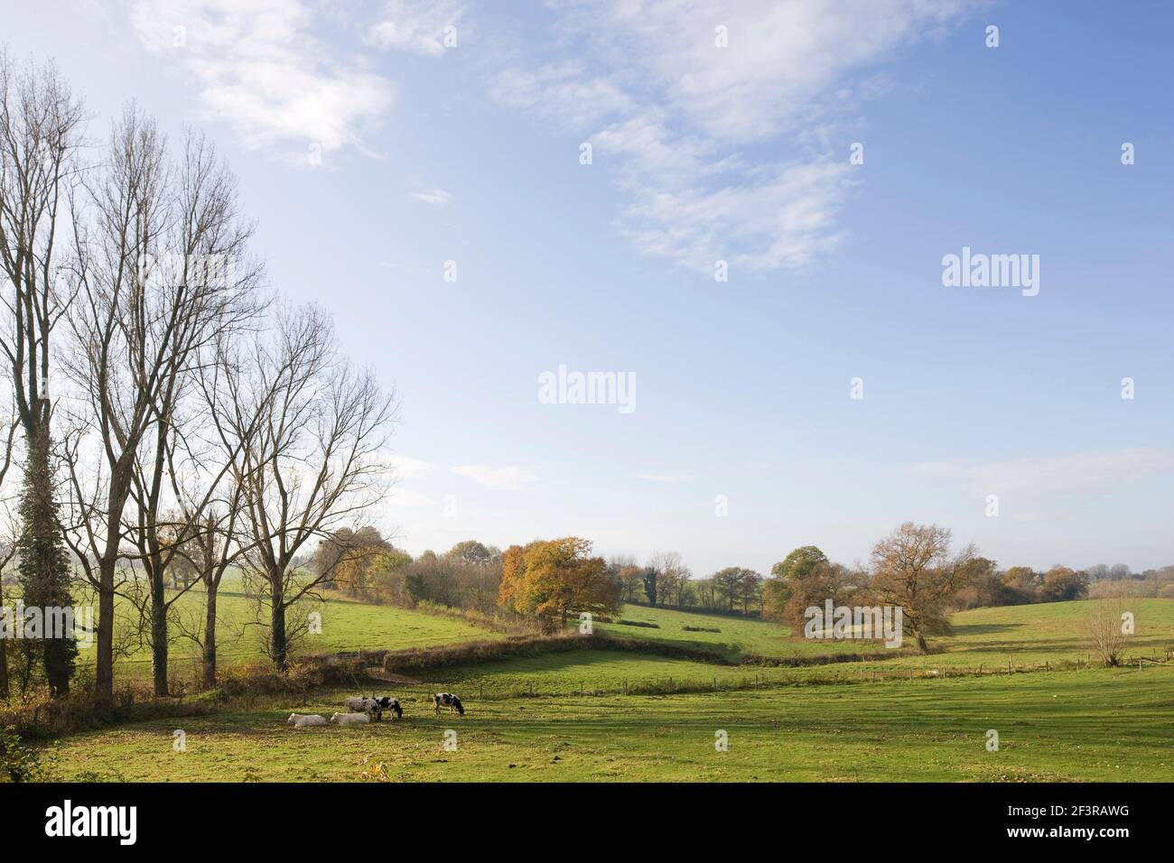 Wédit im¸¸, Kornelim¸nster, Landschaft im S dosten Foto Stock