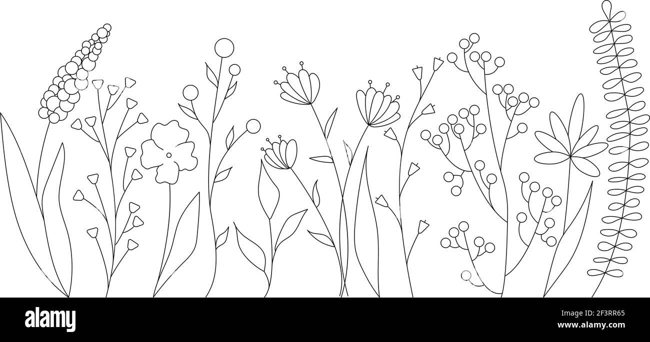 Silhouette nere di erba, fiori ed erbe. Elementi floreali semplici e minimalistici. Botanico naturale. Schizzo grafico. Disegno di fiori disegnati a mano. Per Illustrazione Vettoriale
