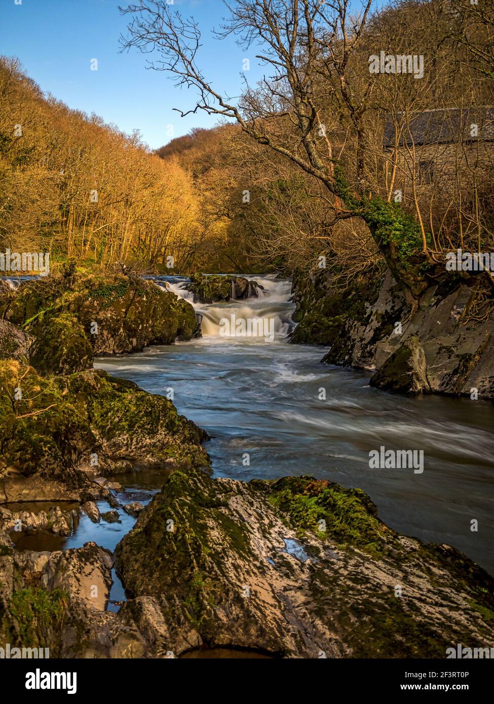 Le cascate sul fiume Teifi a Cenarth in Occidente Galles Foto Stock
