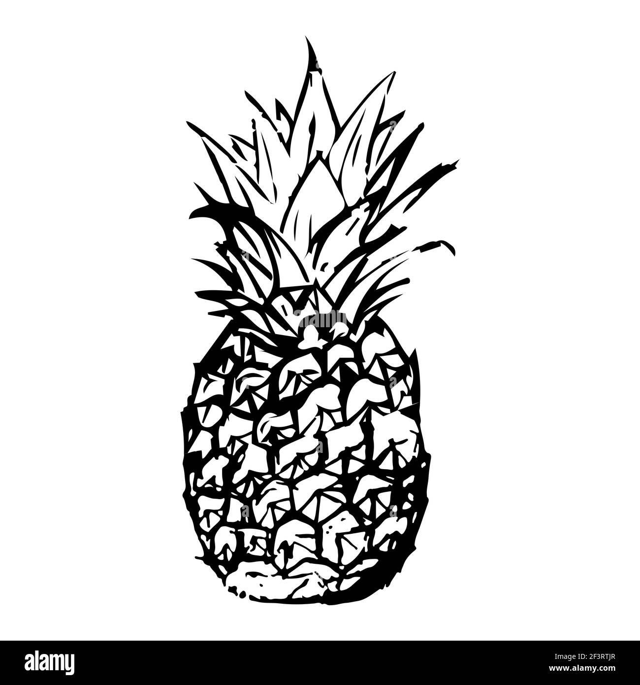 Un disegno di ananas fatto a mano. Illustrazione Vettoriale