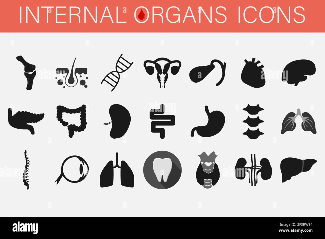 Insieme di icone di organi interni e parti di uomo. Illustrazione Vettoriale