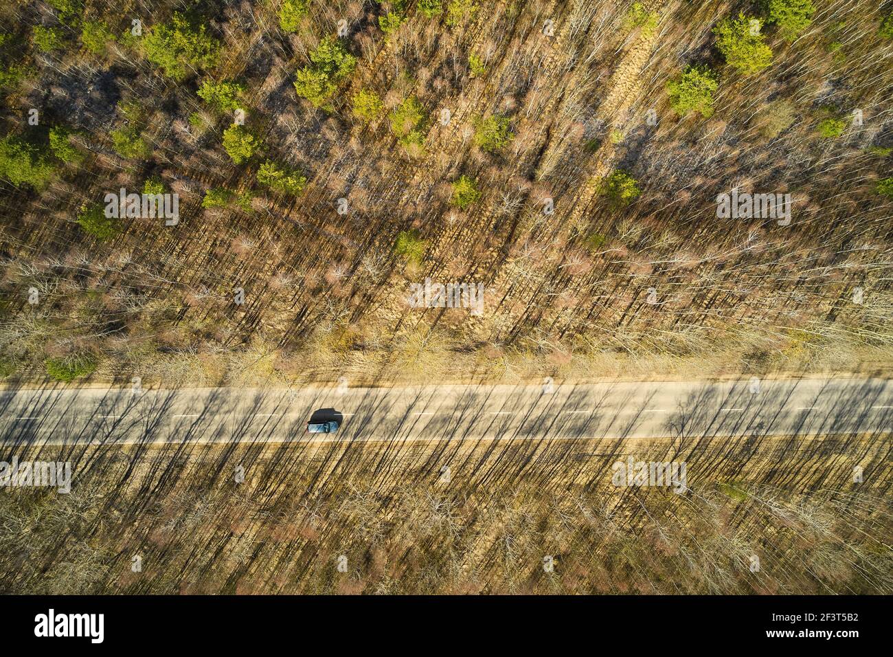 Vista aerea della strada nella foresta. Foto Stock