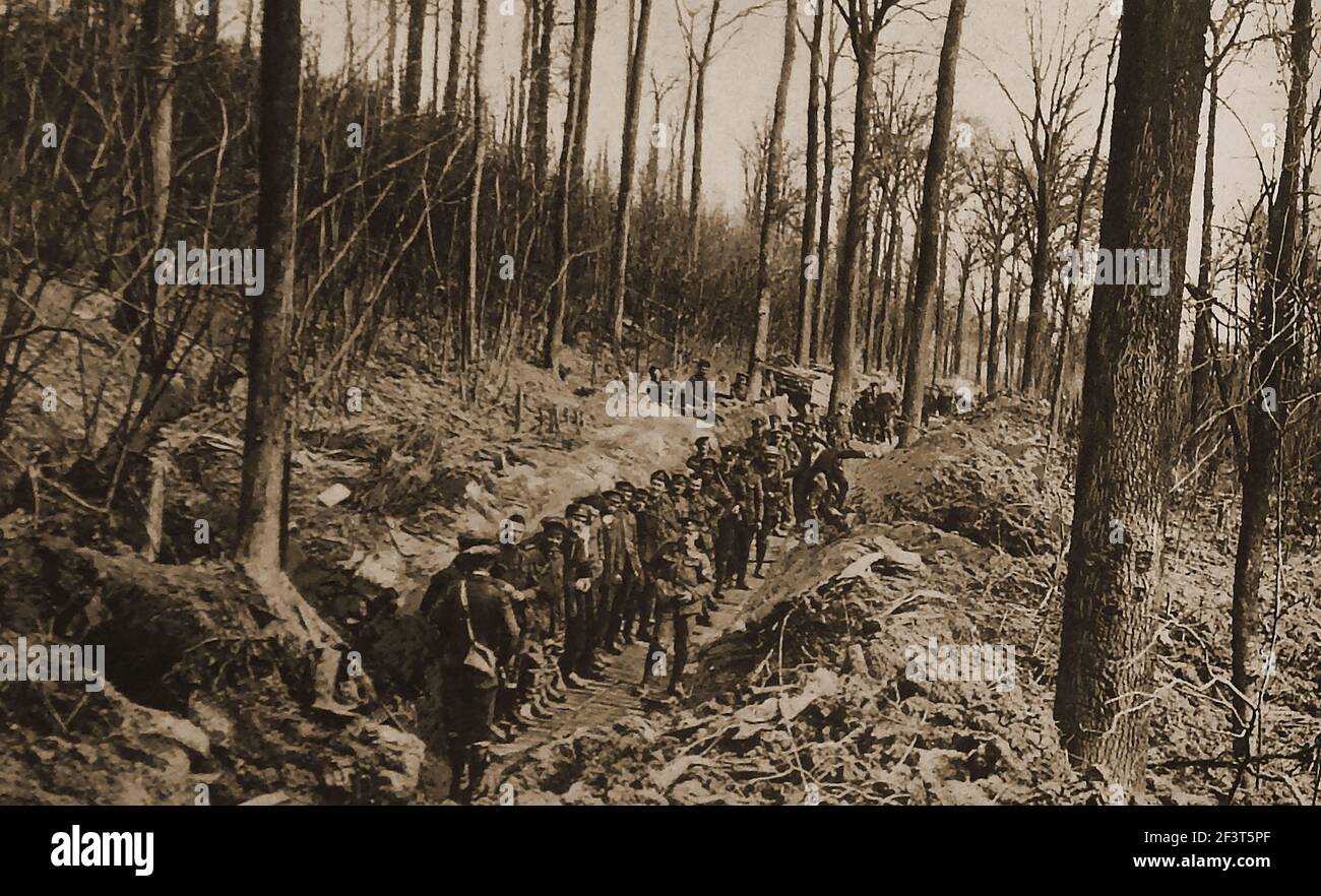 WWI - le truppe canadesi in marcia si fermano per un riposo in un bosco in Francia subito dopo l'arrivo nel paese . Foto Stock