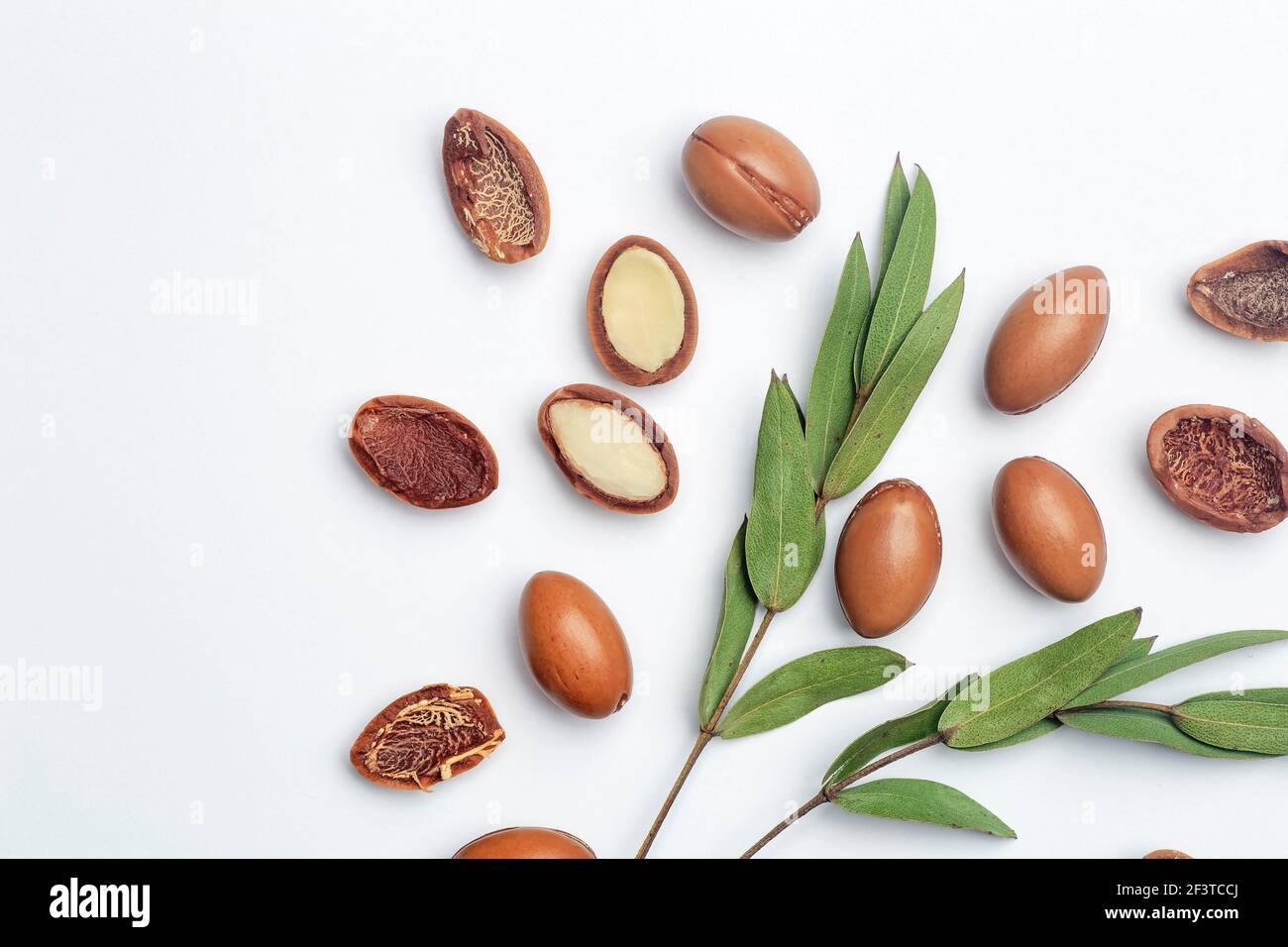 Semi di Argan isolati su sfondo bianco. Olio di Argan noci con pianta. Cosmetici e oli naturali di fondo. Foto Stock