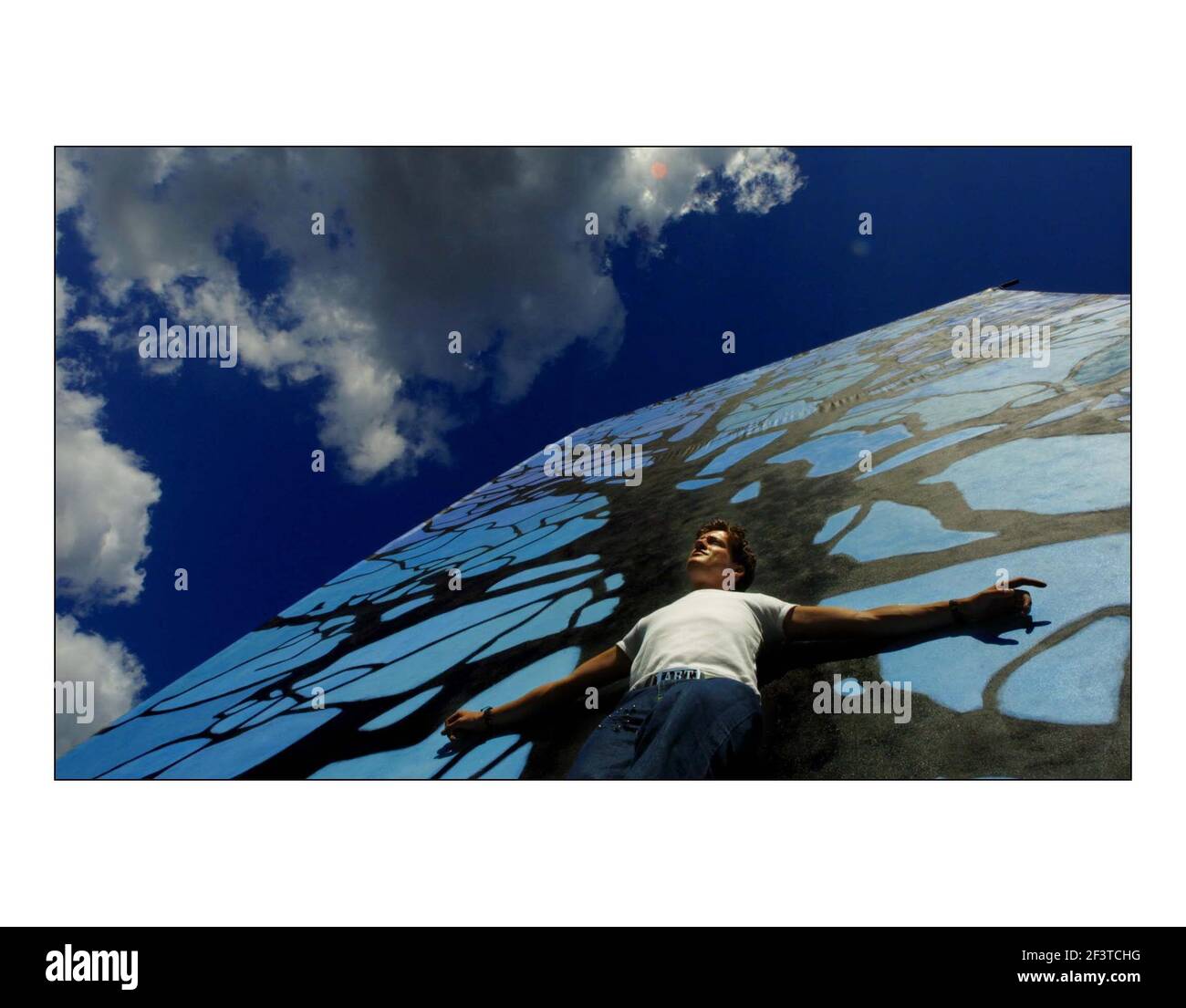 L'artista britannico contemporaneo Adam Ball presenta l'albero uno dei quadri più grandi intrapresi a 32 piedi di altezza da 22 piedi di larghezza, in Piazza d'Oro, Soho dal 2 al 18 settembre 2002.pic David Sandison 1/9/2002 Foto Stock