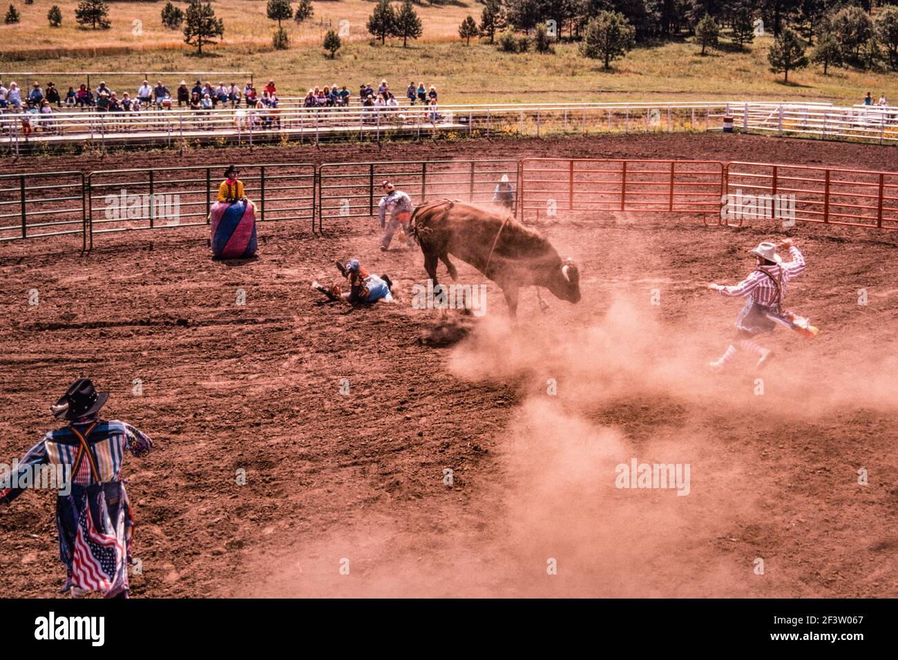 I clown dei rodei o i bullfighter distraggono il toro per proteggere il cowboy dopo che è stato sbattuto fuori in un rodeo della piccola città in New Mexico. Foto Stock