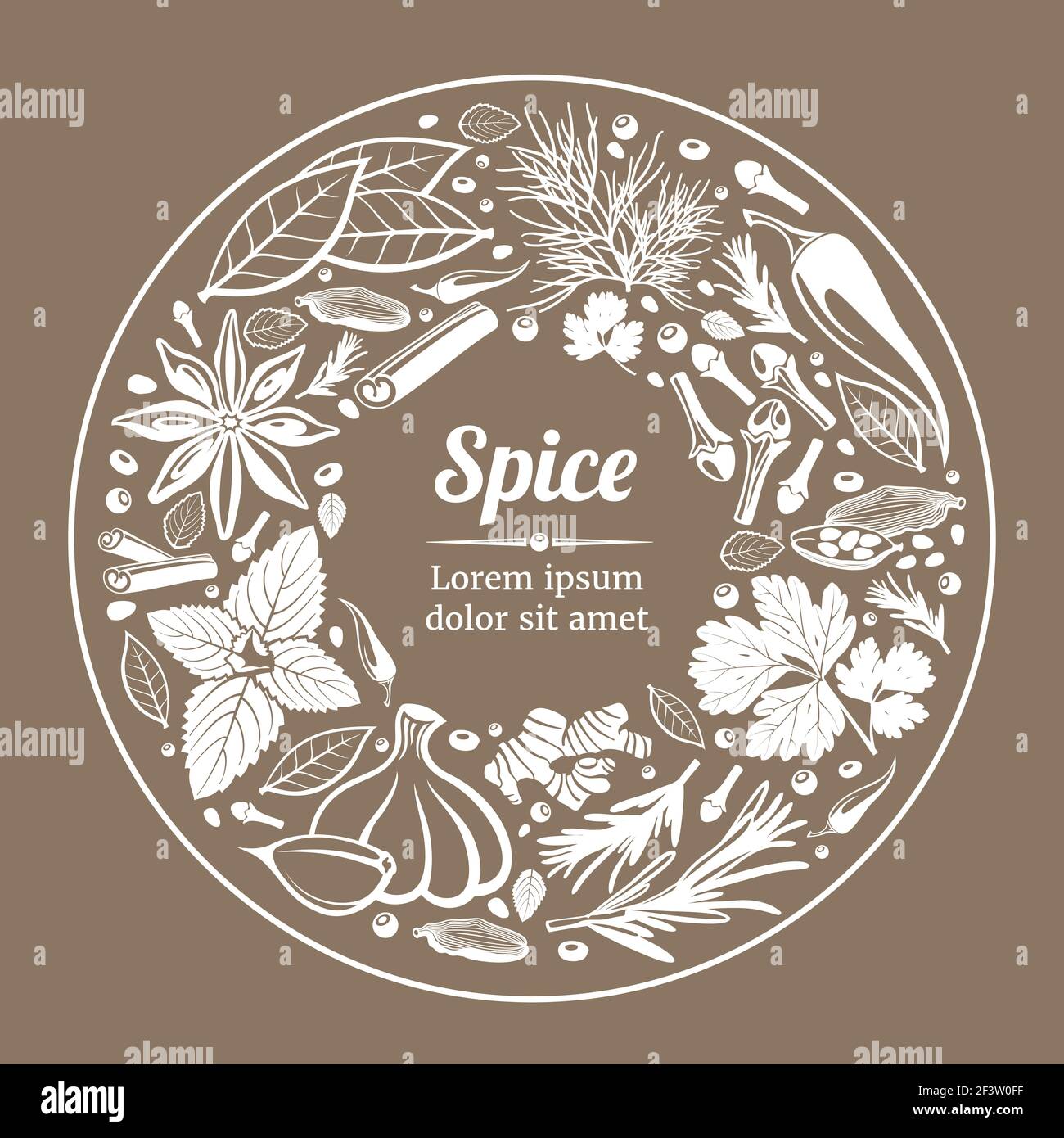Sfondo vettoriale con erbe e spezie. Illustrazione dell'etichetta dell'ingrediente organico naturale della pianta delle spezie Illustrazione Vettoriale