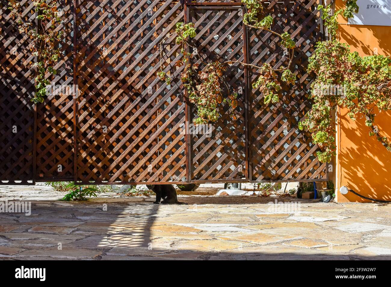 Un gatto nero vagato guarda sotto un cancello a trellis nella districa Plaka di Atene, Grecia. Foto Stock