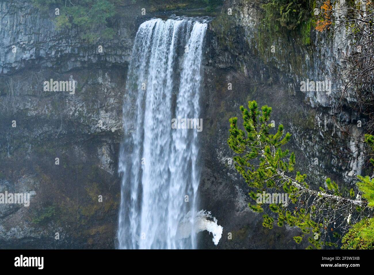 Cascata, Brandywine Falls, Whistler, British Columbia, Canada Foto Stock