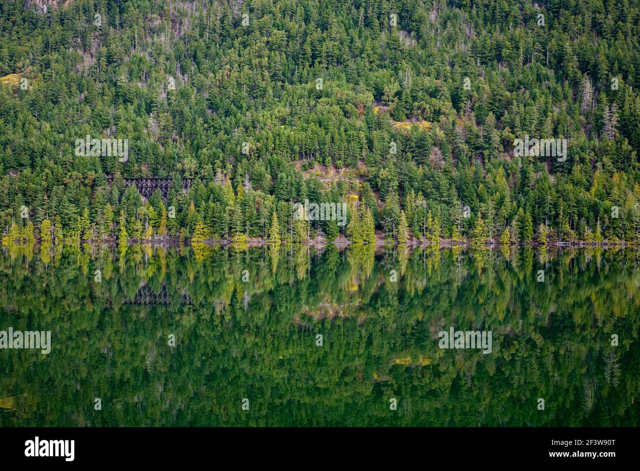 Rifacimento della foresta e trenino su un lago tranquillo (Cameron Lake, Vancouver Island, British Columbia) Foto Stock