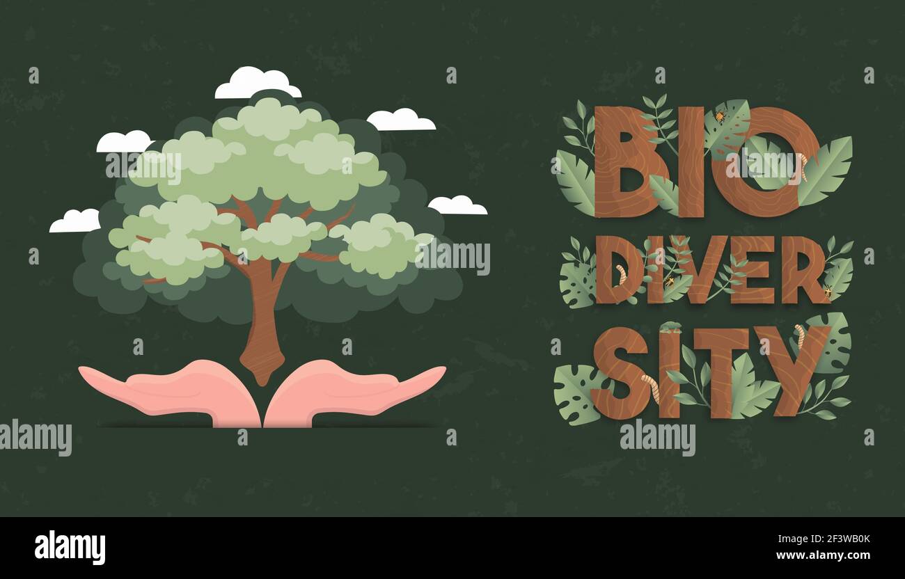 Banner biodiversità illustrazione di mani umane che tengono grande albero verde. Cura della natura o concetto di campagna ecocompatibile. Illustrazione Vettoriale