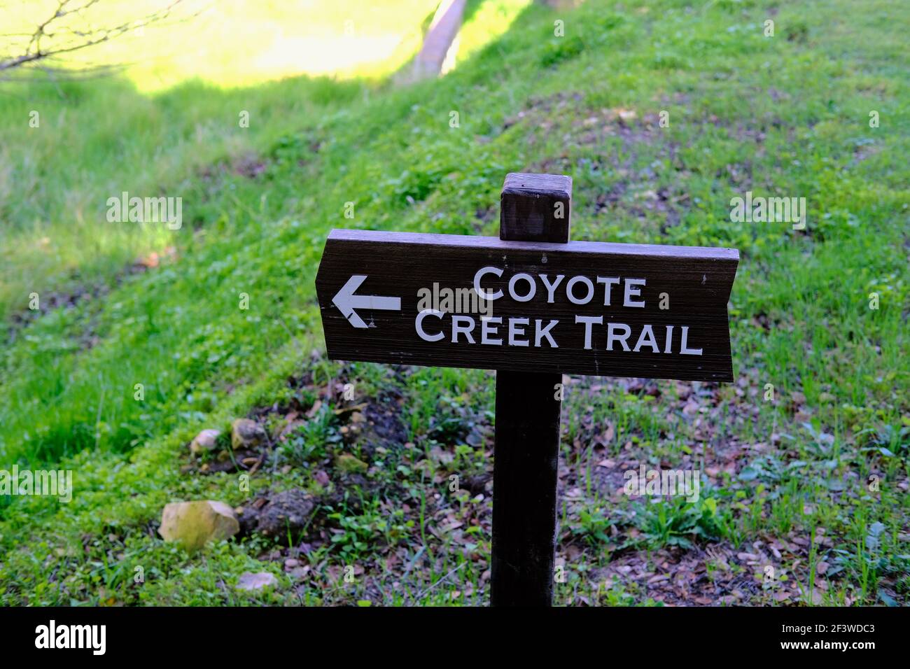 Cartello Wooden Coyote Creek Trail presso l'Holman Ranch a Carmel Valley, California, USA; segnavia e cartello. Foto Stock