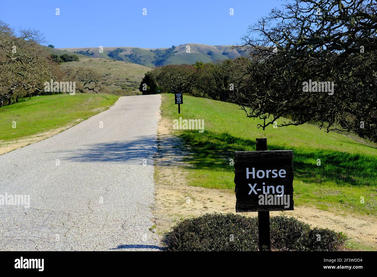 Cartello in legno a forma di cavallo con lettere bianche su una strada di campagna vuota o una giornata di sole all'Holman Ranch a Carmel Valley, California. Foto Stock