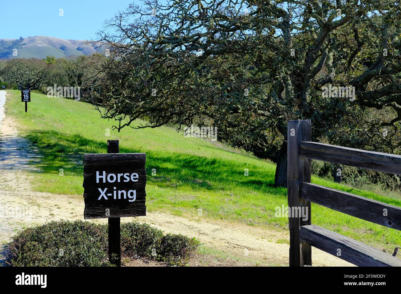 Cartello in legno a forma di cavallo con lettere bianche accanto a una strada di campagna in una giornata di sole all'Holman Ranch a Carmel Valley, California. Foto Stock