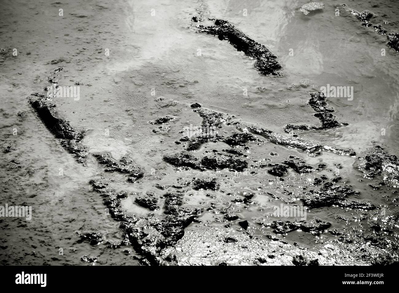 Un puddle con modelli astratti di fango naturale. Foto Stock