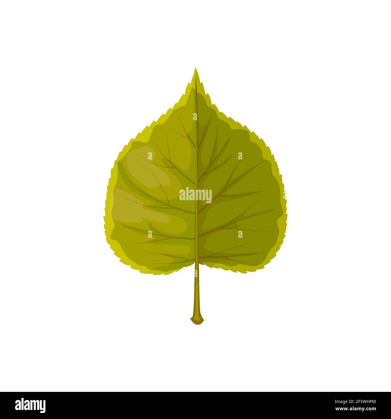 Foglia verde, autunno e caduta albero fogliame, vettore isolato icona. Foglie di pioppo o tiglio, stagione naturale autunnale e foglie di foresta e piante Illustrazione Vettoriale Foglia verde, autunno e caduta albero fogliame, vettore isolato icona. Foglie di pioppo o tiglio, stagione naturale autunnale e foglie di foresta e piante Illustrazione Vettoriale