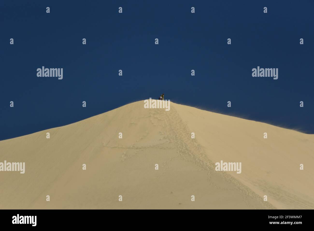 90 Ninety Mile Beach Sand Dune Nuova Zelanda Foto Stock