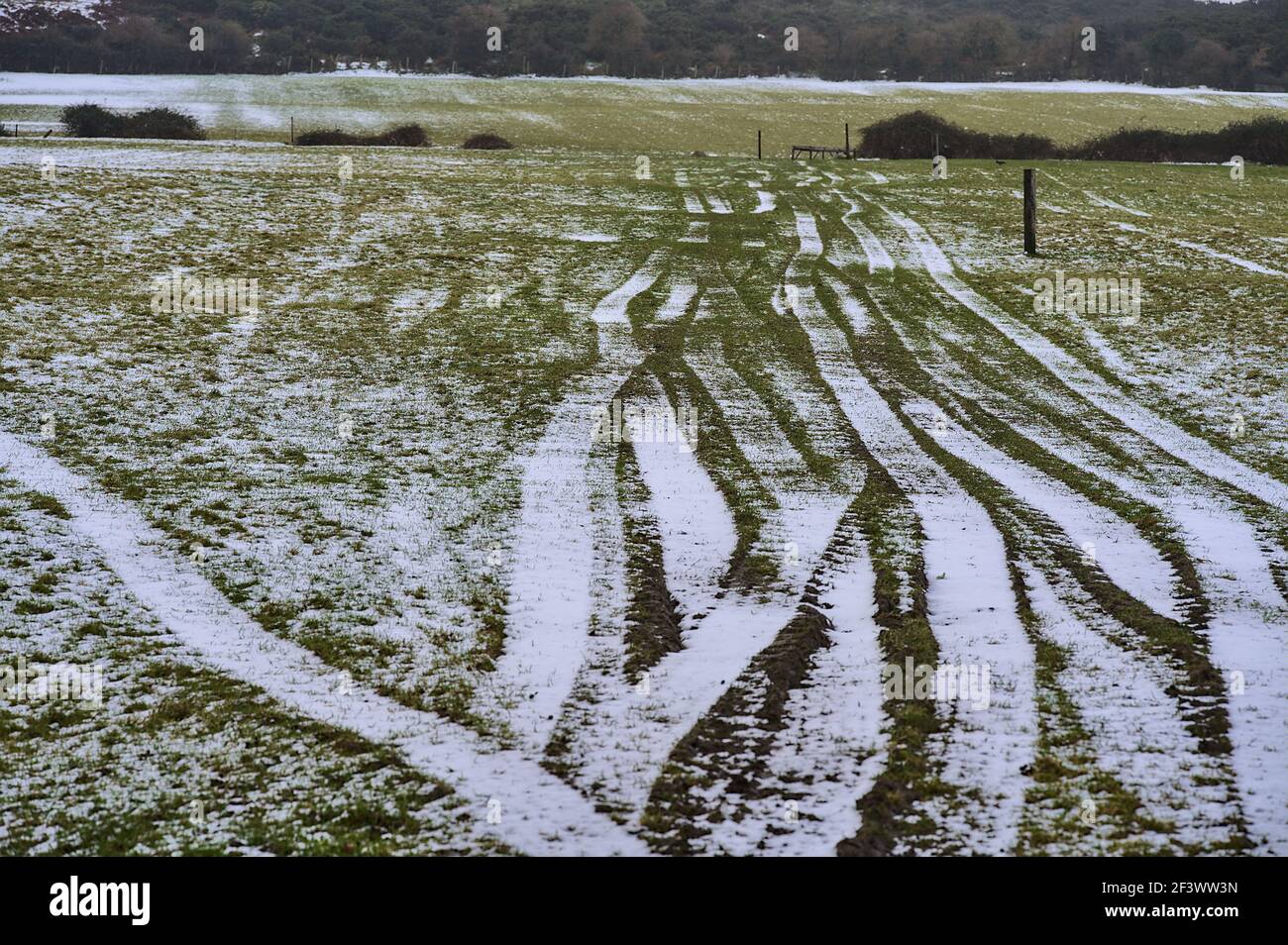Bella vista invernale rara della tipica fattoria irlandese con le ruote motrici stampate sull'erba a Ticknock, Co. Dublino, Irlanda. Inusuale inverno irlandese 2021 Foto Stock