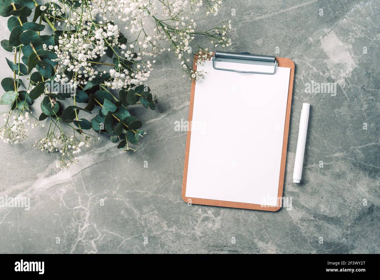 Carta bianca, appunti, penna, rami di eucalipto, fiori di gypsophila su sfondo marmoreo. Disposizione piatta, vista dall'alto. Spazio di copia. Blogger, business femminile Foto Stock