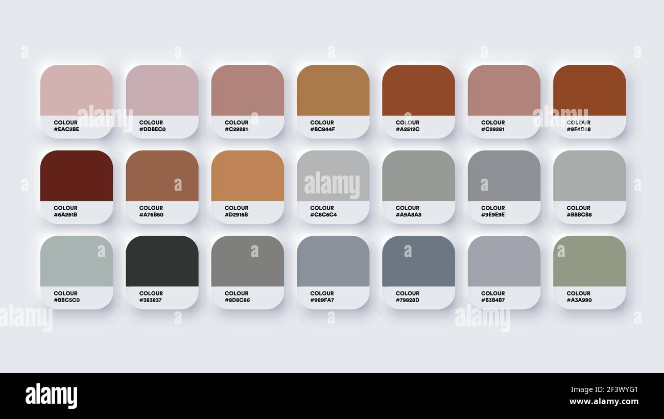 Il catalogo tavolozza colori campiona il marrone e il grigio in RGB  ESADECIMALE. Vettore neomorfismo Immagine e Vettoriale - Alamy