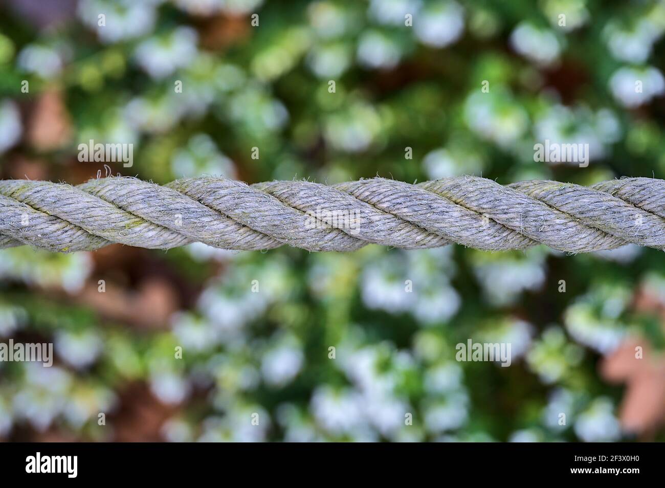 Bella vista ravvicinata della vecchia corda comune in fibre naturali su sfondo verde primavera con messa a fuoco morbida e selettiva. Recinzione di corda e bordatura in giardino Foto Stock