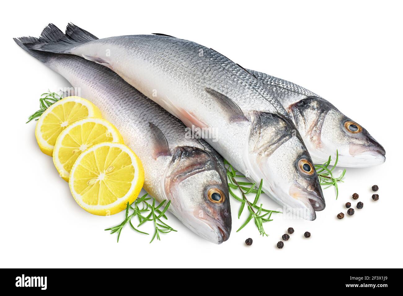 Basso di mare fich isolato su sfondo bianco con tracciato di ritaglio e piena profondità di campo. Foto Stock